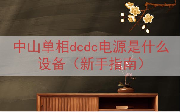 中山单相dcdc电源是什么设备（新手指南）