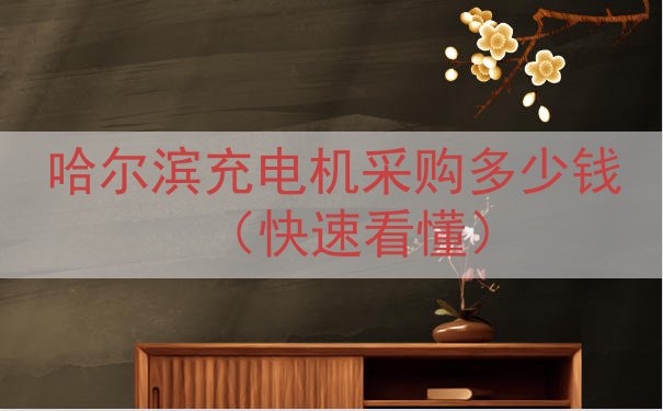 哈尔滨充电机采购多少钱（快速看懂）